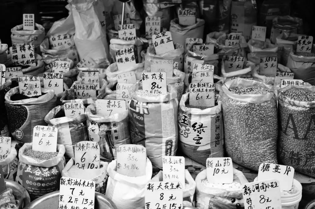 黑龙江服装制衣行业数字化转型路径与技术应用解析